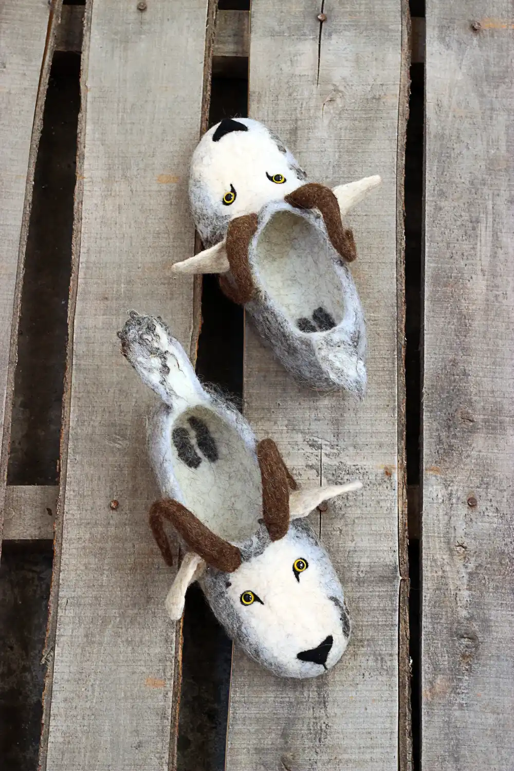 image - 2025-02-18T165107